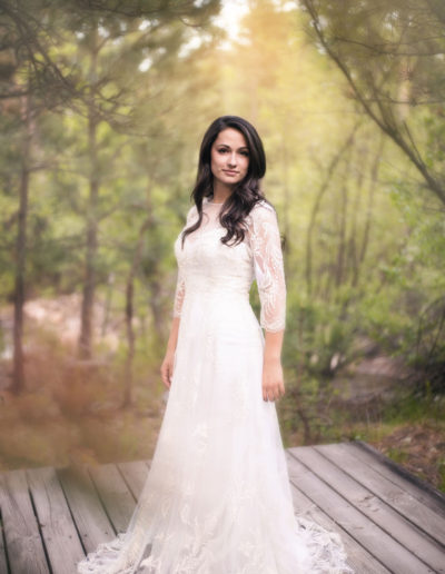 Lace a-line wedding gown